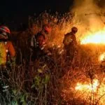 Decreto de emergência em MS garante celeridade na resposta aos incêndios florestais no Estado