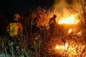 Leia mais sobre o artigo Ministério Público vai investigar 12 fazendeiros por focos de incêndio no Pantanal