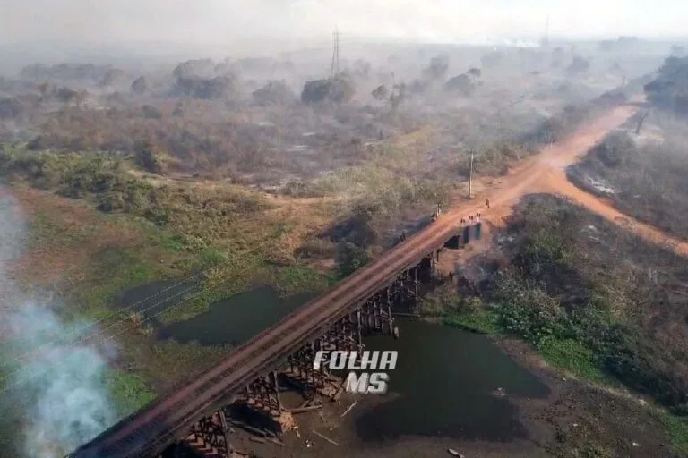 Ação dos Bombeiros preserva Estrada Parque, vegetação e casas no Pantanal