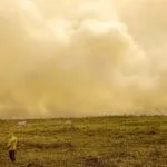 Queimada no Pantanal continua apesar da proibição de manejo do fogo