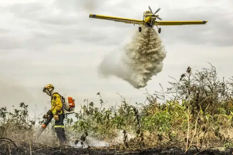 pistas de pouso no pantanal irá reforçar combates aos incêndios florestais