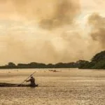 MP investiga fazendas por queimadas e bloqueio da regeneração no Pantanal