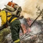 Desafios contra incêndios florestais persistem na Operação Pantanal 2024