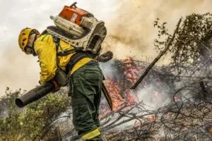 Leia mais sobre o artigo Desafios contra incêndios florestais persistem na Operação Pantanal 2024