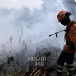 Sem chance de chuva significativa, seca pode piorar situação de incêndios no Pantanal