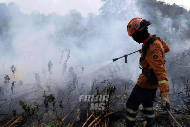 Sem chance de chuva significativa, seca pode piorar situação de incêndios no Pantanal