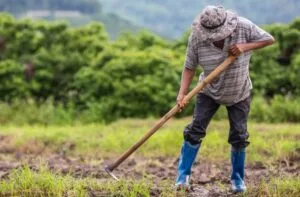 Leia mais sobre o artigo Agricultura Familiar: Investimento Cresce 130% em Edital da Fundect