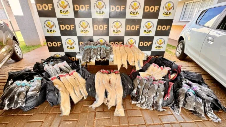 DOF apreende 293 quilos de cabelo humano em operação na MS-276