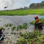 Serra do Amolar, Porto da Manga e Rabicho concentram esforços dos Bombeiros no Pantanal