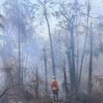 Bombeiros do PR e GO reforçam combate aos incêndios no Pantanal