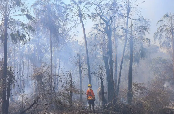 Leia mais sobre o artigo Bombeiros do PR e GO reforçam combate aos incêndios no Pantanal