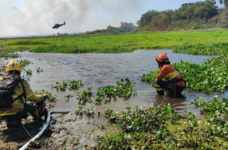 Você está visualizando atualmente Serra do Amolar, Porto da Manga e Rabicho concentram esforços dos Bombeiros no Pantanal