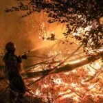 Combate a incêndios no Pantanal: 2 focos permanecem ativos e 92 bombeiros em ação