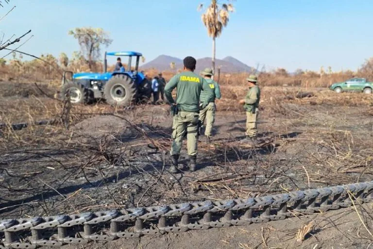 Ibama embarga 4,5 mil hectares e aplica multas de R$ 2 milhões no Pantanal