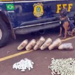 Com auxílio de cão farejador, PRF prende bolivianos com entorpecentes na BR-262