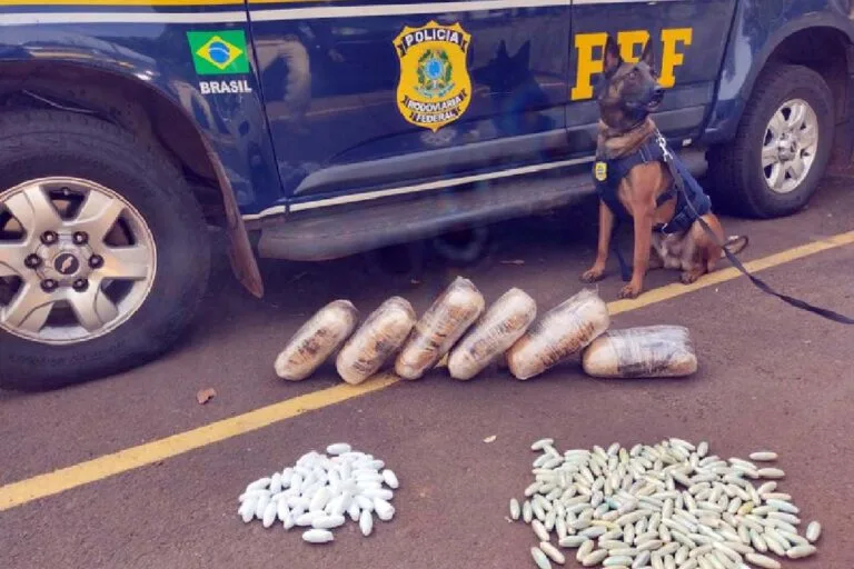Com auxílio de cão farejador, PRF prende bolivianos com entorpecentes na BR-262