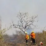 Novos focos de incêndio mobilizam equipes de combate na região de Maracangalha