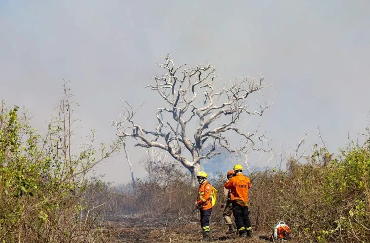 No momento, você está visualizando Novos focos de incêndio mobilizam equipes de combate na região de Maracangalha