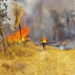 Ventos agravam incêndio na Serra do Amolar e brigadistas seguem em combate ao fogo