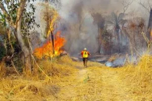 Leia mais sobre o artigo Ventos agravam incêndio na Serra do Amolar e brigadistas seguem em combate ao fogo