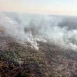 Focos de incêndios diminuem, mas situação ainda é crítica no Pantanal