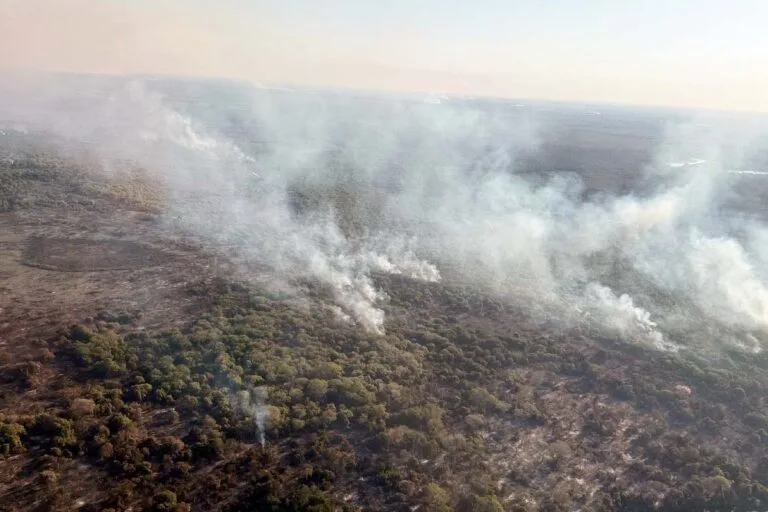 Focos de incêndios diminuem, mas situação ainda é crítica no Pantanal