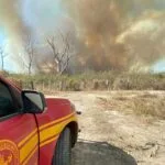 Sete focos de incêndio mobilizam forças de combate no Pantanal