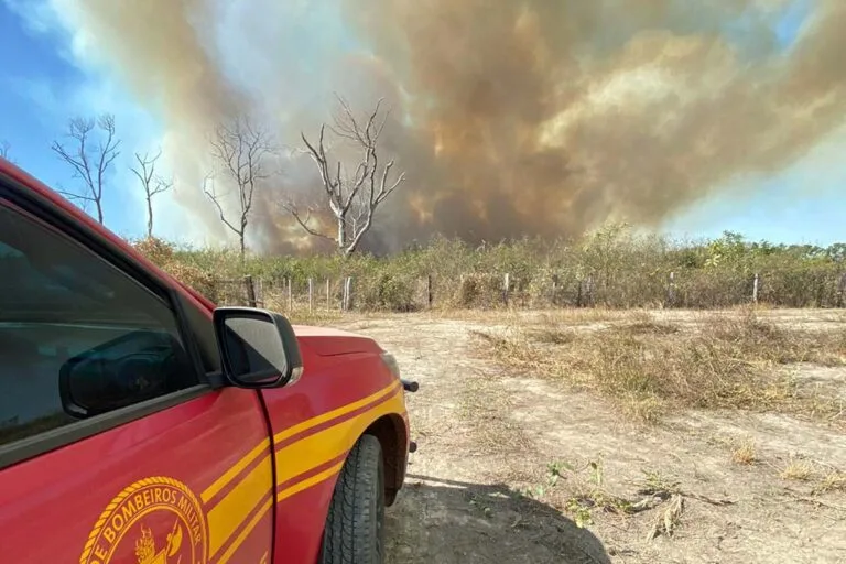 Sete focos de incêndio mobilizam forças de combate no Pantanal