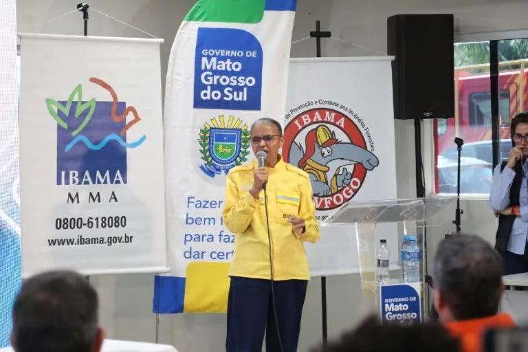 Pantanal: 96% dos incêndios foram extintos ou controlados