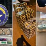 Receita Federal e Polícia Militar apreende mercadorias, drogas e contrabando de aves em Corumbá