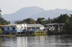 Leia mais sobre o artigo Mapa do Pantanal em MS revela desafios logísticos em bioma maior que Portugal