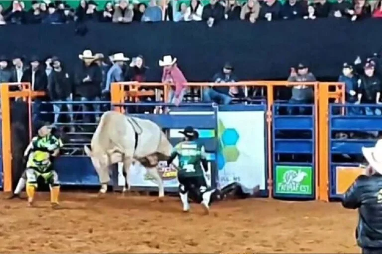 Peão morre após ser pisoteado por touro em cidade de MS