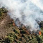 Condições climáticas intensificam seis focos de incêndios ativos no Pantanal