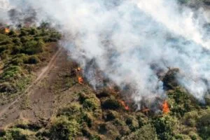 Leia mais sobre o artigo Condições climáticas intensificam seis focos de incêndios ativos no Pantanal