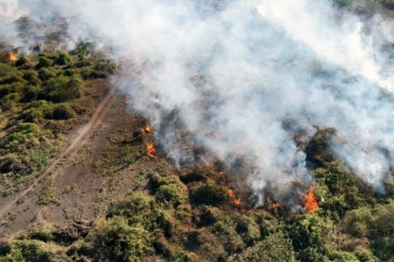 incêndios no Pantanal