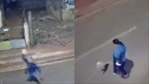 Leia mais sobre o artigo Vídeo mostra Pinscher sendo morta a pedradas por usuário de drogas em Campo Grande