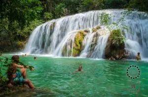 Leia mais sobre o artigo Ações de neutralização de carbono destacam responsabilidade ambiental do turismo no FIB 2024