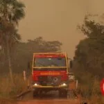 Bombeiros de MS mantém ações de controle, monitoramento e rescaldo no Pantanal