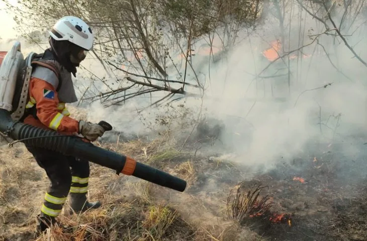 Você está visualizando atualmente Mulheres têm papel de destaque no combate aos incêndios no Pantanal