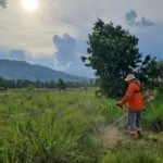 ADM firma parceria com Instituto Homem Pantaneiro para a conservação do Pantanal