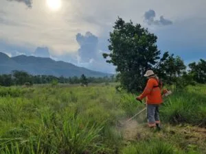 Leia mais sobre o artigo ADM firma parceria com Instituto Homem Pantaneiro para a conservação do Pantanal