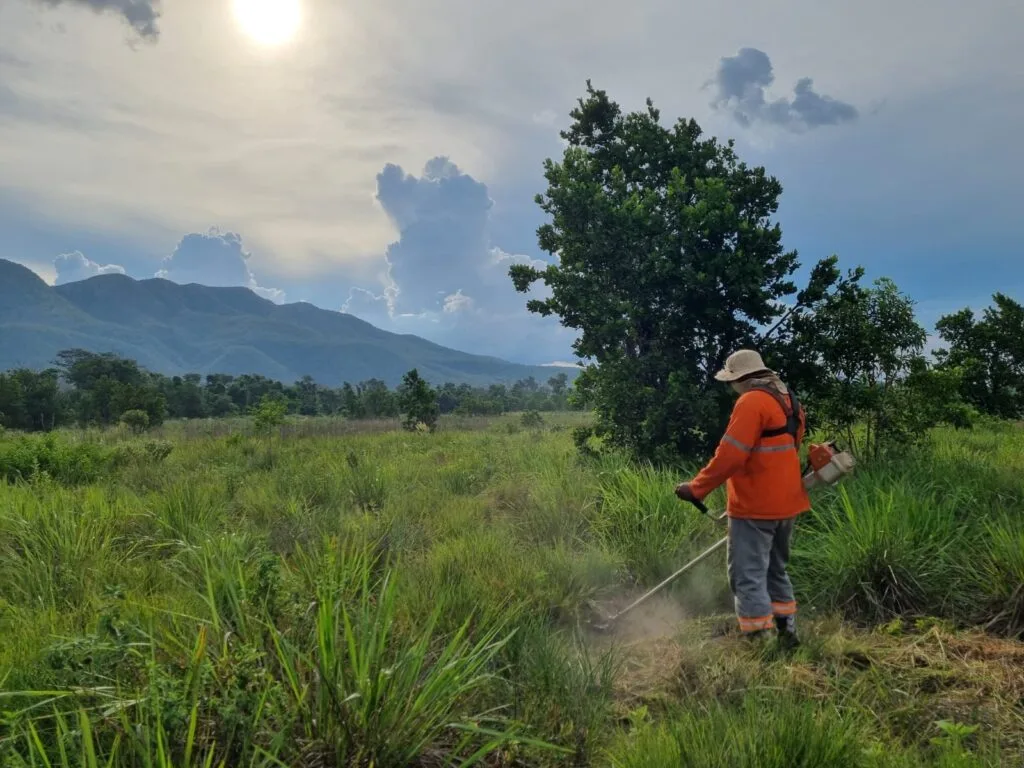 Você está visualizando atualmente ADM firma parceria com Instituto Homem Pantaneiro para a conservação do Pantanal