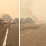 Combate a incêndios na BR-262 mobiliza Corpo de Bombeiros e PrevFogo