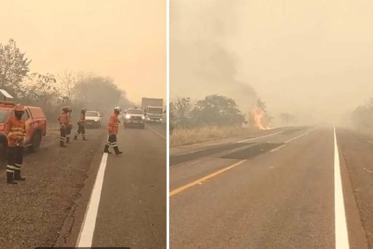 Combate a incêndios na BR-262 mobiliza Corpo de Bombeiros e PrevFogo
