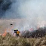 Bombeiros de Santa Catarina também auxiliarão equipes de MS no combate ao fogo no Pantanal