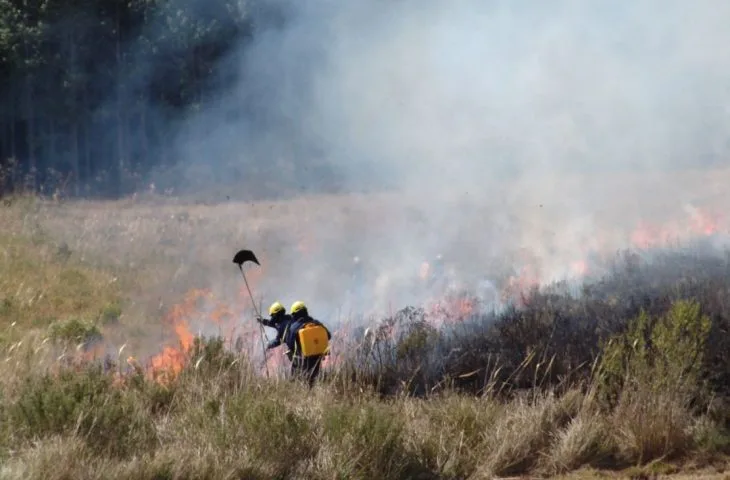 Você está visualizando atualmente Bombeiros de Santa Catarina também auxiliarão equipes de MS no combate ao fogo no Pantanal