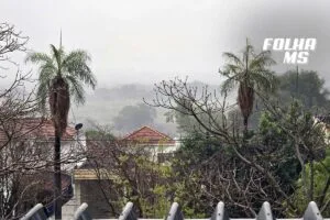 Leia mais sobre o artigo Pantanal: Frente fria traz chuva e esperança na luta contra os incêndios