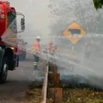 Chuva de 20 mm alivia incêndios florestais em várias regiões do Pantanal