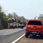 Pantanal enfrenta fogo e fumaça intensos e MS reforça combate aos incêndios