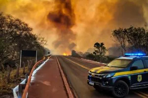 Leia mais sobre o artigo Incêndios as margens da BR-262 demanda atenção redobrada alerta PRF